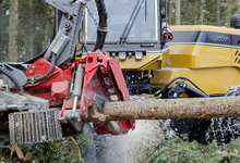 EXCAVATORS & ALL TRUCKS